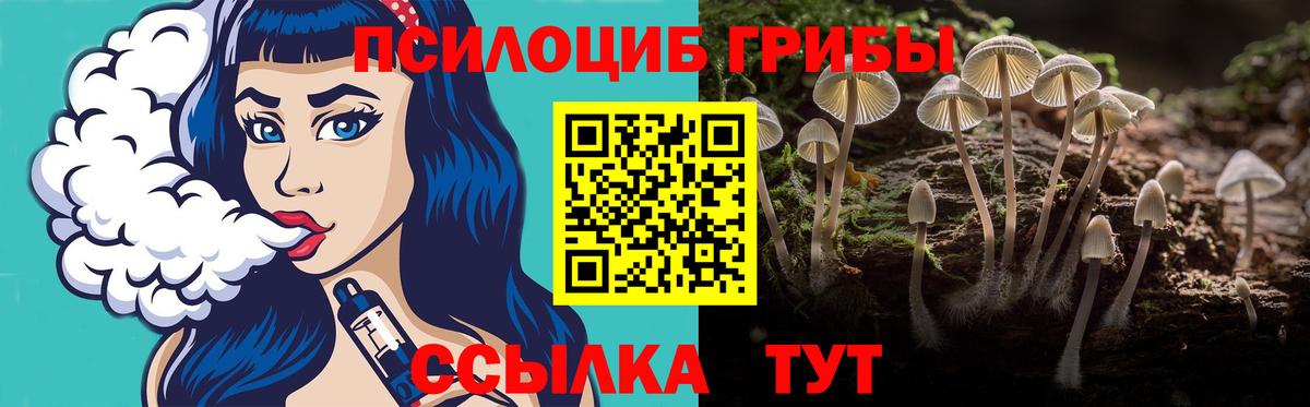Псилоцибиновые грибы Psilocybe  Вход с VPN  Алатырь 